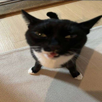 MrBukTek