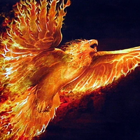 MrPhoenix_