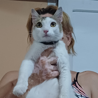 EvaVM
