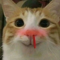 inokun