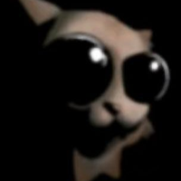 VinnieBuns