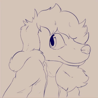 Lalito_Silly_Dog
