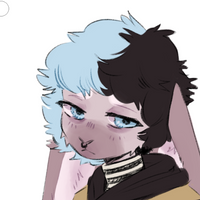 CuteGayRabbit