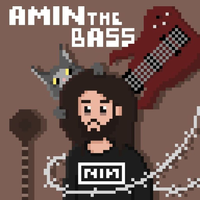 aminthebass