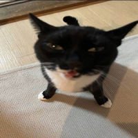 zaciiii