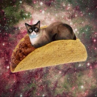 luvhllokitty