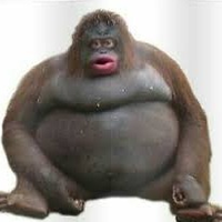 mikeoxtiny