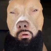 Skizrex