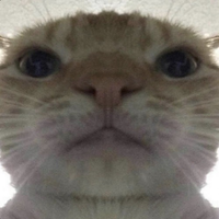 BigB02