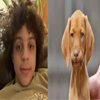 CanCanTuna