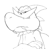boshi_hwh