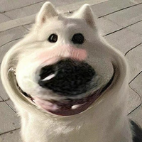 SkibidiRizzGyat