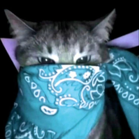 SsjKillgamer