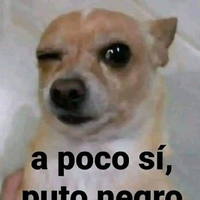 MFVALLO
