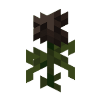 witherttr