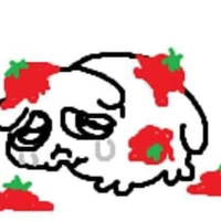 Pascualxd4