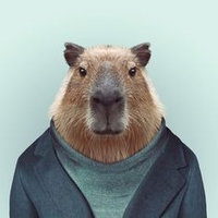 Jakecoll