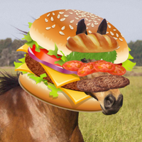 AustralienLlama
