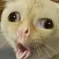 DALAHDMM