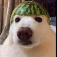 Pandahook14