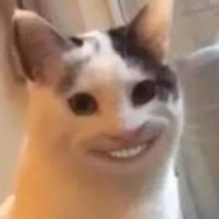nigaaaa