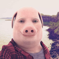 Jonathan Pork
