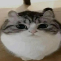Sinx.exe