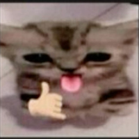 insta nc7ie