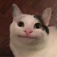SweetNikiFIN