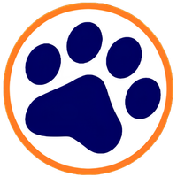 EpicFoxyTwitch