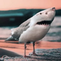EliteCamper