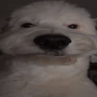 scottyluvb