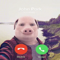 johnporkitofv