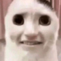 rokegolxd