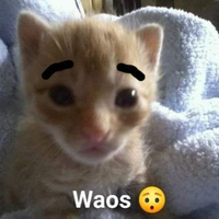 PapuWaos
