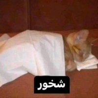 XXHammadiXX