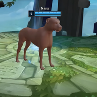 chloop