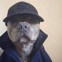 Phisherman