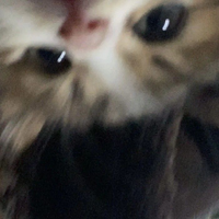 user1110011