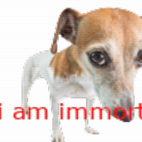 iceypiss
