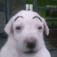 OTKATON