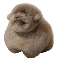 Cuakino