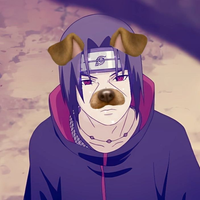 Itachippi