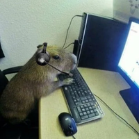 Capivara Agiota