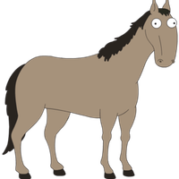 StupidHorse96