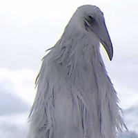 angerbird