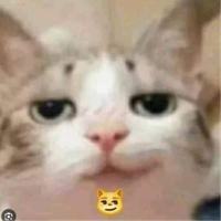 Jomedyxd