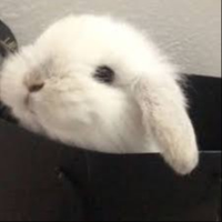 MiniNoeW