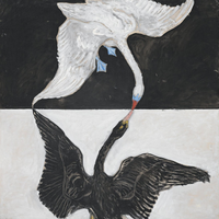 swanskiss