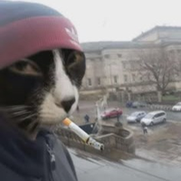 11MOH11